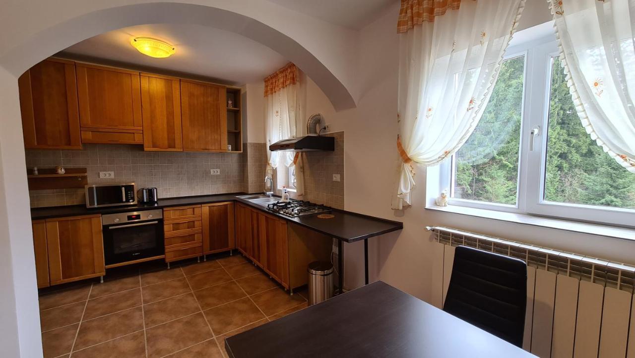 Pensiunea Mădălina Durău Exterior foto
