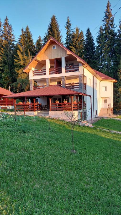 Pensiunea Mădălina Durău Exterior foto